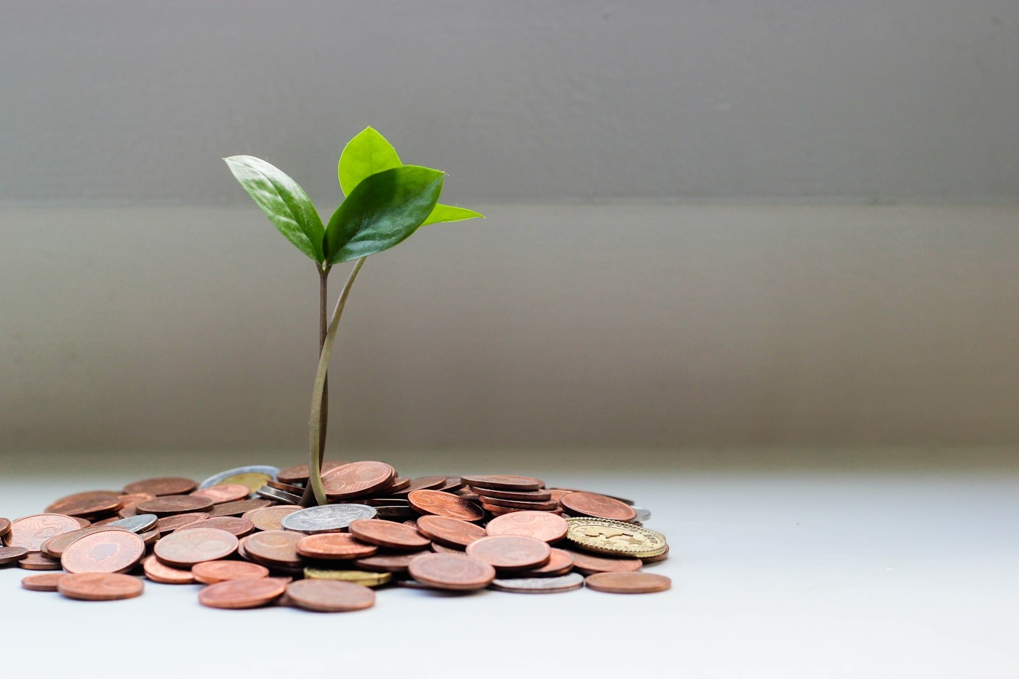 Scaling Your Income Streams For Growth